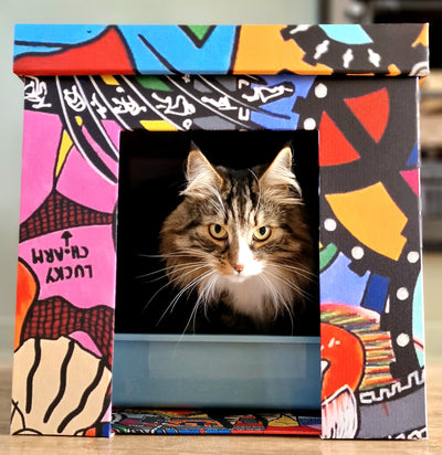 NICOLO 1- Cat Box & Art - Artist Reyol Enjoy - Limited Edition