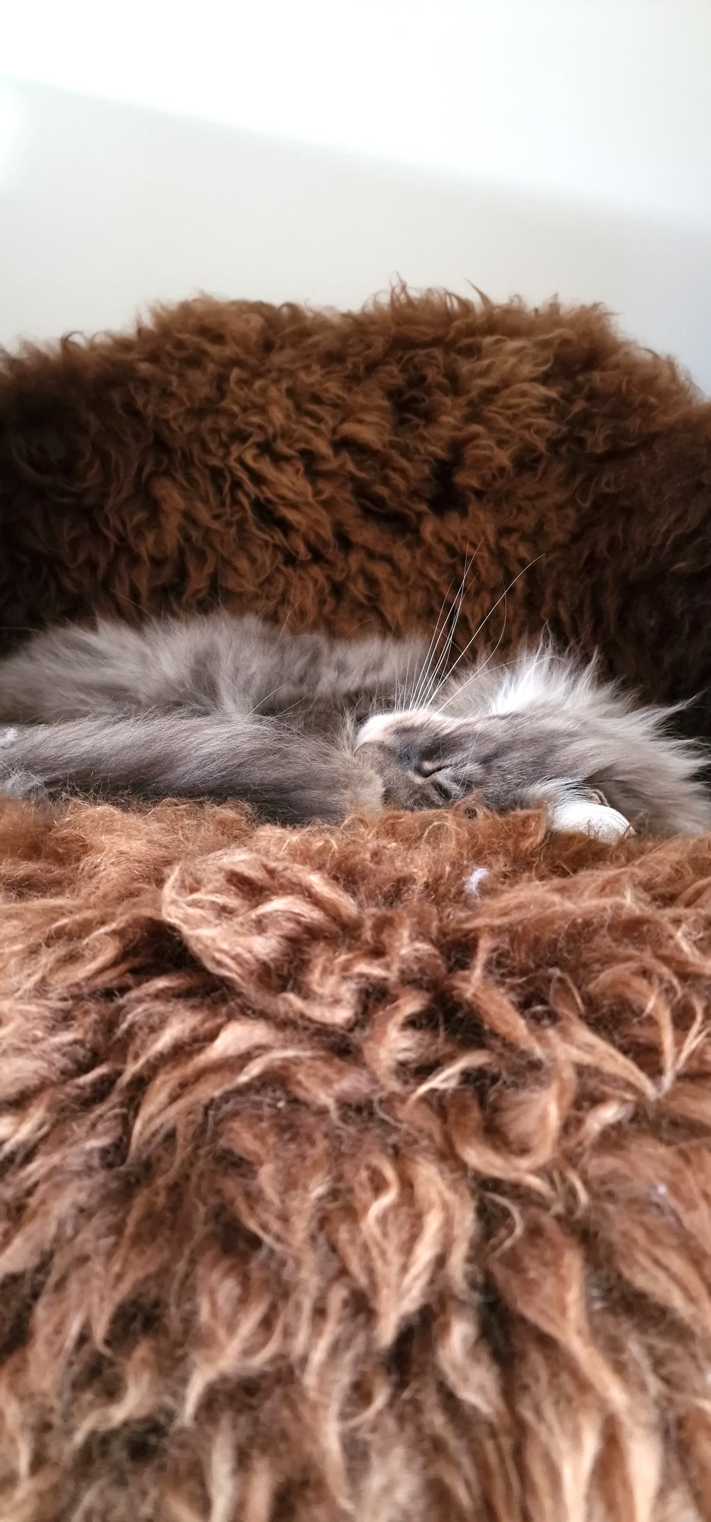 MARLOW Highland Sheep Fur Cat Bed. Size M